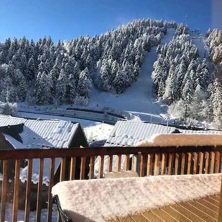 Appartement Aux Pieds Des Pistes De Ski Laveissière Εξωτερικό φωτογραφία