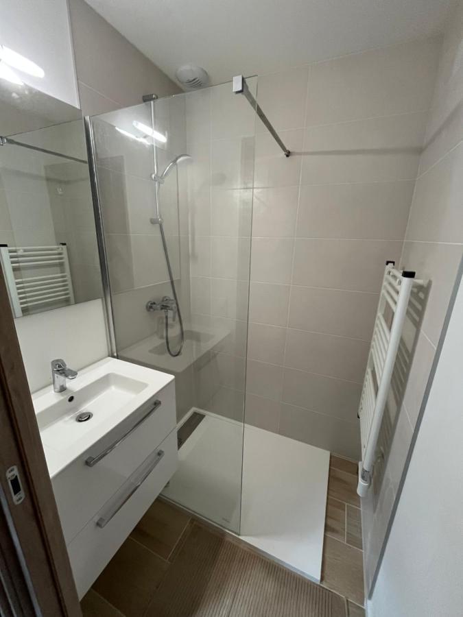 Appartement Aux Pieds Des Pistes De Ski Laveissière Εξωτερικό φωτογραφία