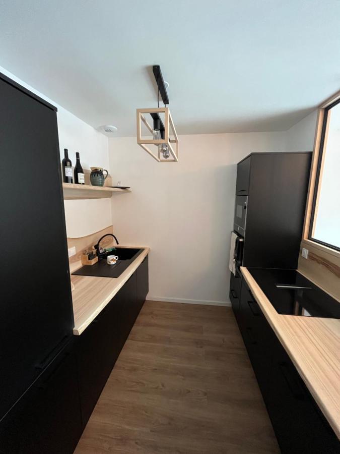 Appartement Aux Pieds Des Pistes De Ski Laveissière Εξωτερικό φωτογραφία