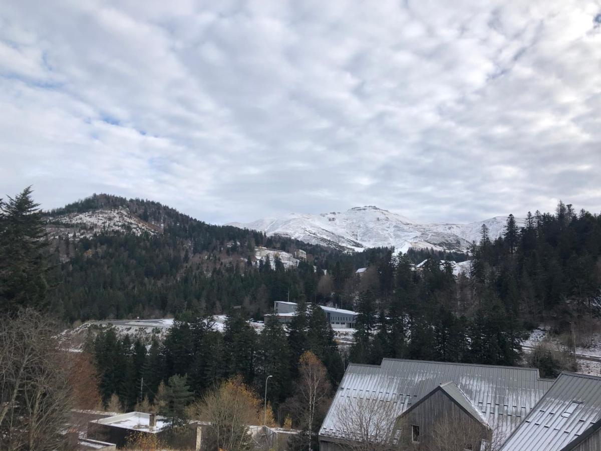 Appartement Aux Pieds Des Pistes De Ski Laveissière Εξωτερικό φωτογραφία