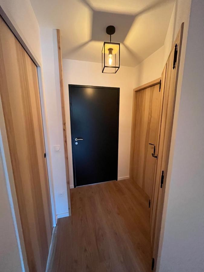 Appartement Aux Pieds Des Pistes De Ski Laveissière Εξωτερικό φωτογραφία