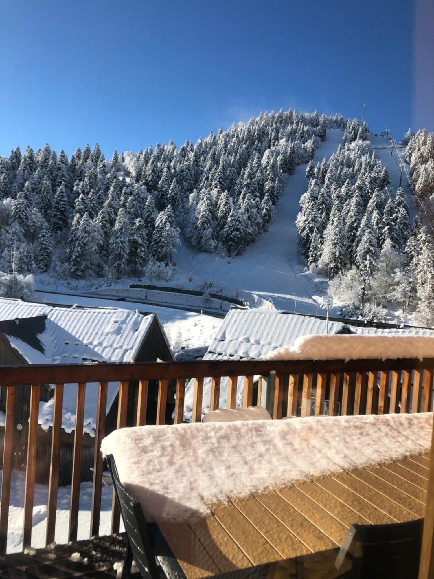 Appartement Aux Pieds Des Pistes De Ski Laveissière Εξωτερικό φωτογραφία