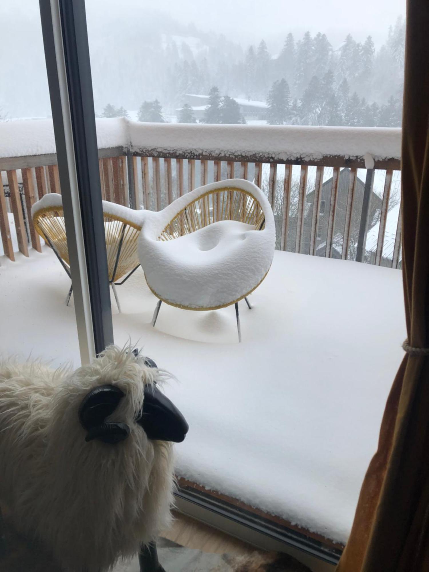 Appartement Aux Pieds Des Pistes De Ski Laveissière Εξωτερικό φωτογραφία